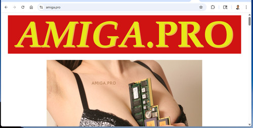 Www amiga pro web domain - www.amiga.pro, name